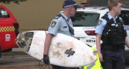 Surfer rushed to hospital after ANOTHER shark attack in Australia