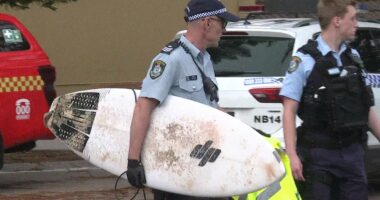 Surfer rushed to hospital after ANOTHER shark attack in Australia