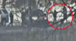 Surveillance footage shows immigration activist blocking road before fatal ICE shooting