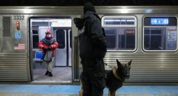 Suspect accused of killing sleeping passenger on Chicago train filmed himself carrying out attack: prosecutors