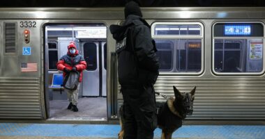 Suspect accused of killing sleeping passenger on Chicago train filmed himself carrying out attack: prosecutors