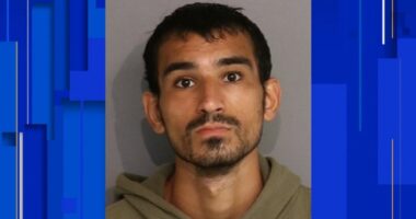 Suspect arrested in Osceola County triple homicide, deputies say