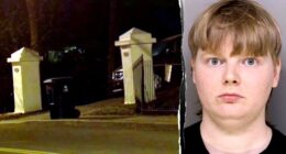 Suspect in Vance home vandalism has had multiple run-ins with the law, demanded to be called Julia