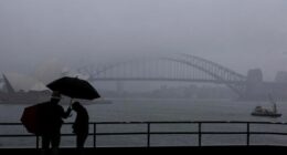 People are seen braving the rain and fog at Mrs Macquaries Chair this morning, Friday, 22 August 2025. After weeks of persistent rain, parts of the NSW coast have now recorded their wettest August in 126 years. Photo: Sam Mooy / The Sydney Morning Herald