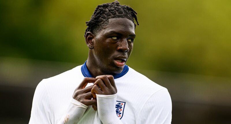 TRANSFER WINDOW WATCH LIVE: Aston Villa in for £10m teen compared to Romelu Lukaku, Newcastle forward considers Scotland move and Spurs locked in talks over Souza, 19