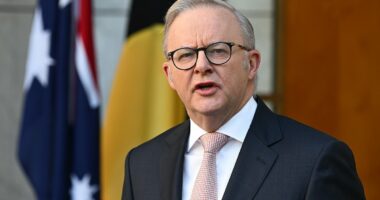 Taxpayers could cop $2million bill to recall Parliament for TWO days