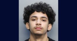 Teen claims he shot ex's pal after they egged his home, pointed a 'green laser' at his body but video tells a different story, cops say