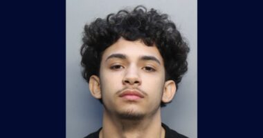 Teen claims he shot ex's pal after they egged his home, pointed a 'green laser' at his body but video tells a different story, cops say
