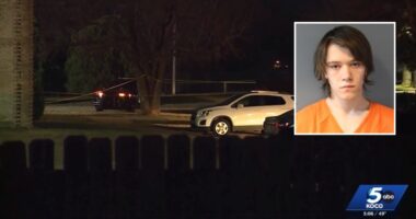 Teen murdered brother after he became 'enraged' over video game and stabbed him multiple times, cops say