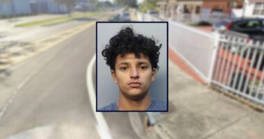 Teen stabbed buddy for 'intentionally' spilling beer on his phone while cooking the fish they caught after a day out on the water, cops say