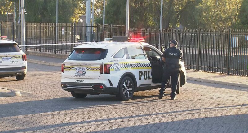 Teen trio arrested after 12-year-old girl stabbed in Adelaide