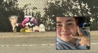 Teen walking home with laundry texted stepmom that she 'finally saw the Little Dipper' before being mowed down and killed by hit-and-run driver: Family