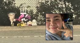 Teen walking home with laundry texted stepmom that she 'finally saw the Little Dipper' before being mowed down and killed by hit-and-run driver: Family