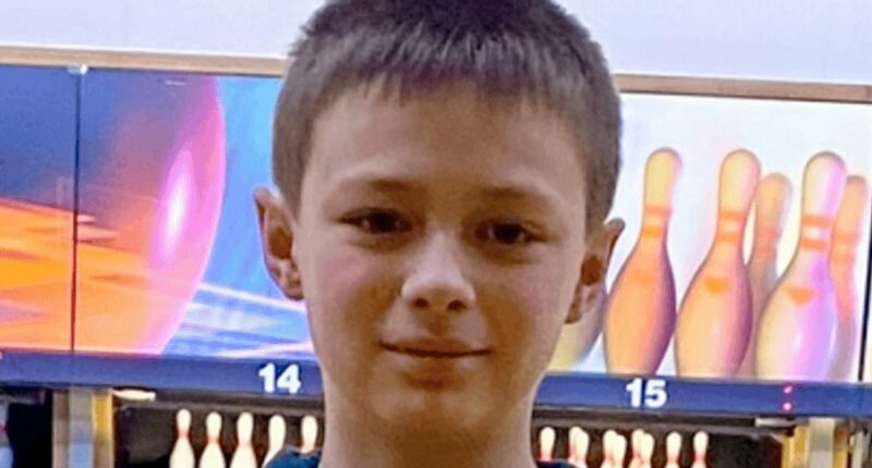 Teenager, 15, pleads guilty to murdering schoolboy at random