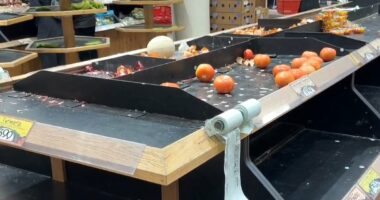 Texans told it may be DAYS until they can leave homes as storm hits US