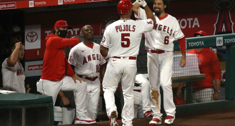 Celebrity Net Worth logo