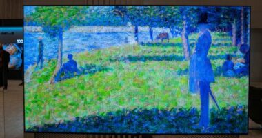 CES, the biggest technology show in the world, is happening this week in Las Vegas.