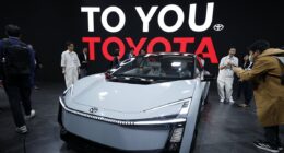 The dirt-cheap stocks from around the world hand-picked by experts and tipped to soar in 2026 - and, yes, many pay generous dividends!