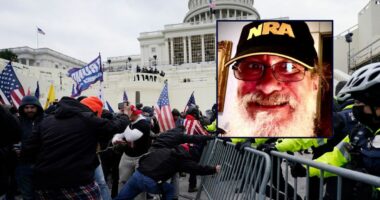 'The group intended to harm': Attorney faces disbarment for Jan. 6 attack after posting that Nancy Pelosi 'would have been torn into little pieces' by the 'howling' mob