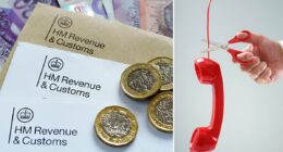 The hack which means you may not have to file a tax return at all: How to beat the HMRC customer service meltdown