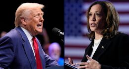 'The only identifiable difference': Trump's government shutdown targeting of states he didn't win in 2024 violated Constitution, judge rules