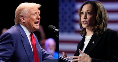 'The only identifiable difference': Trump's government shutdown targeting of states he didn't win in 2024 violated Constitution, judge rules