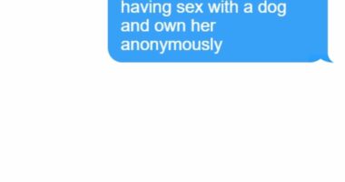 The 'revolting' messages allegedly sent to teacher