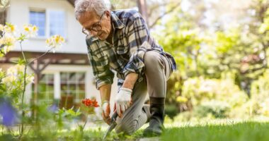 The top tips leading dementia experts swear by to protect themselves from the condition: From shrinking wine glasses to gardening and crosswords