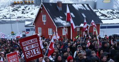 'There are no winners in trade wars': IMF warns of stock market slump as it sounds alarm over Greenland crisis