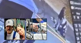 'They did nothing': McDonald's workers watched 'vagrant' kill woman waiting in drive-thru with husband and refused to call 911 after letting him approach vehicles, suit says