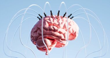 This is why so many of us are feeling like our brains are badly overloaded