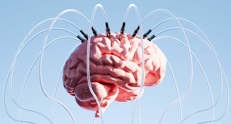 This is why so many of us are feeling like our brains are badly overloaded