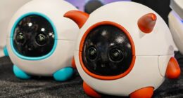 This robot companion is a cameraman for your pet