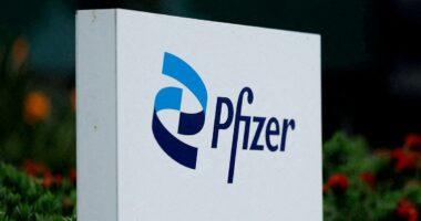 Thousands sue Pfizer over claims company's birth control gave them brain tumors… as pharma giant adds risk to label