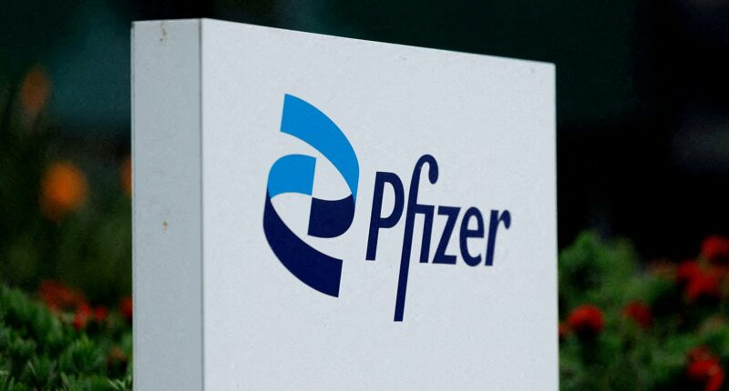 Thousands sue Pfizer over claims company's birth control gave them brain tumors… as pharma giant adds risk to label