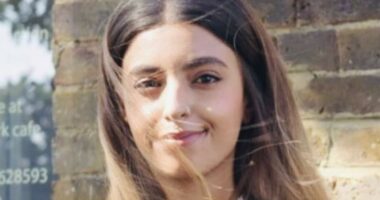 Three Palestine Action members end gruelling 73-day hunger strike amid claims 'key demand was met'