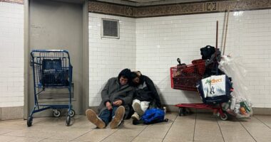 Three homeless people found dead on NYC streets as deep freeze grips city