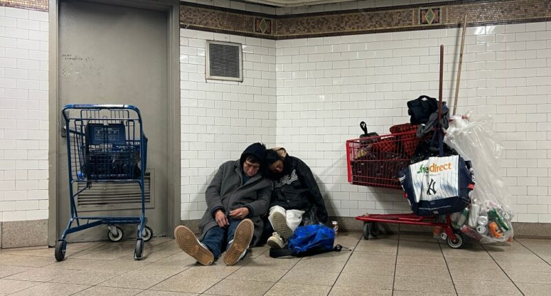 Three homeless people found dead on NYC streets as deep freeze grips city