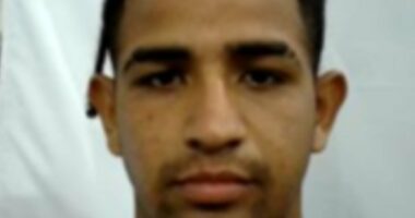 Three illegal migrants charged with attempted murder of ICE agents