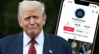 President Donald Trump and The White House TikTok account.