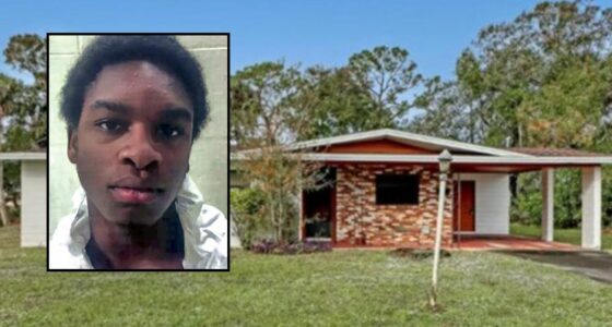 Florida Teen Arrested for Grisly Attack on Grandmother in Disturbing ...