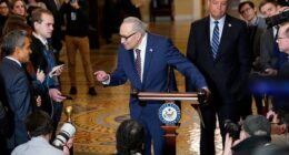 Top Democrat unveils wish list to avoid government shutdown: Masks off, cameras on