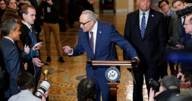 Top Democrat unveils wish list to avoid government shutdown: Masks off, cameras on