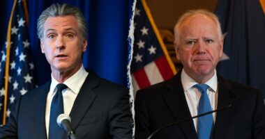 Top Trump admin education official exposes blue state financial aid fraud offenders