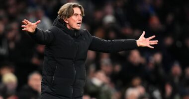 Tottenham 1-1 Sunderland: How unlikely goal hero gave Spurs another dimension in attack - and why Thomas Frank will be cursing his luck after worrying injury blow: MATT BARLOW