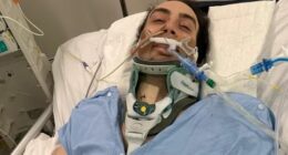 Ioannis Vidiniotis, 28, was swimming with his loved ones at Cottlesoe Beach in Perth - the city's postcard location - on New Year's Eve when he struck his head on a sandback.