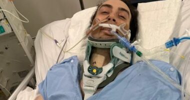 Ioannis Vidiniotis, 28, was swimming with his loved ones at Cottlesoe Beach in Perth - the city's postcard location - on New Year's Eve when he struck his head on a sandback.