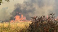 Towns 'obliterated' as bushfire crisis in Victoria ramps up
