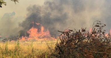 Towns 'obliterated' as bushfire crisis in Victoria ramps up
