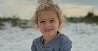 Tragic end in search for 4-year-old boy who went missing with dog